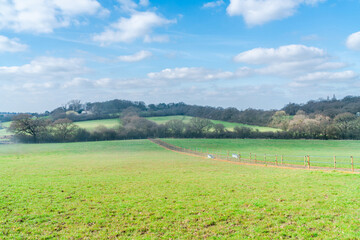 View of open space near Moat Mount Open Space