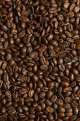 コーヒー，ドリップコーヒー，ドリッパー