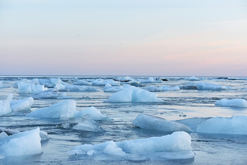 Obraz premium A gentle pink evening in the glacial lagoon. Transparent blocks of ice in the ocean water. Coast of Iceland. Long exposure 