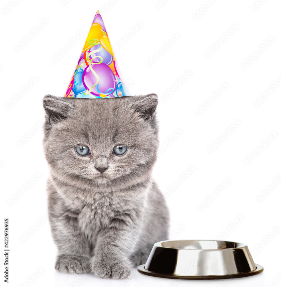 Poster cute kitten wearing party cap sits with empty bowl and looks at camera. isolated on white background