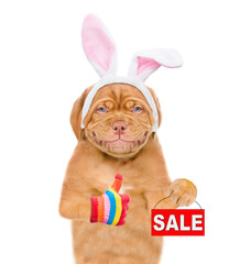 Smiling puppy wearing easter rabbits ears holds sales symbol and shows thumbs up gesture. Isolated on white background