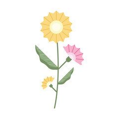 Fototapeta premium beautiful flowers garden