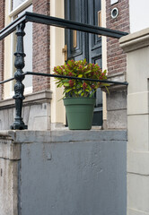 old houses of Amsterdam with flower pots
