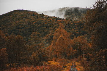 Bieszczady jesienią