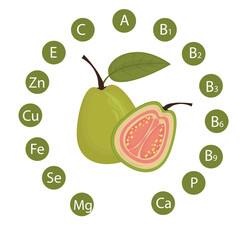 vector illustration of guava with an indication of the vitamins and minerals contained in it. Healthy Food Concept