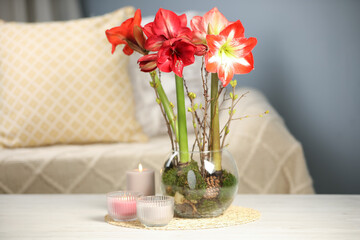 Beautiful red amaryllis flowers on white table indoors