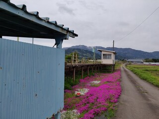 駅