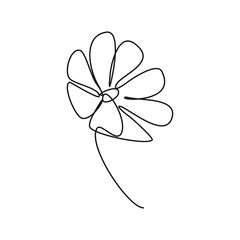 vector single line illustration of a flower, outline daisy