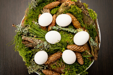 Obraz na płótnie Canvas Easter theme. Religious holiday. Easter egg composition with natural forest attributes. Moss, pine cone, pine branch.