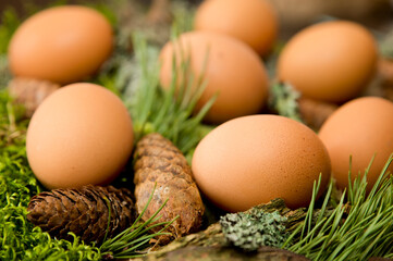 Easter theme. Religious holiday. Easter egg composition with natural forest attributes. Moss, pine cone, pine branch.