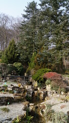 Sprouts and flowers in the botanical garden in the spring