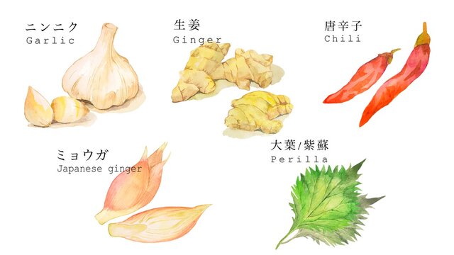 薬味のセットイラスト