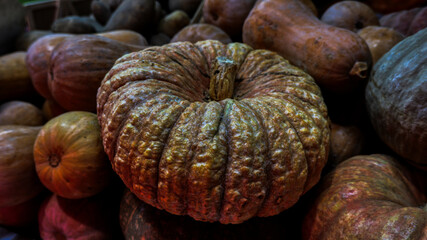 Ripe brown and green pumpkin for sale in the central market of Valencia, Spain.