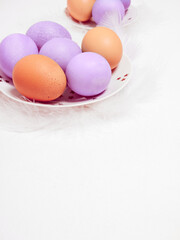 Colored eggs on plate with on white background. Copy space.  Easter concept.