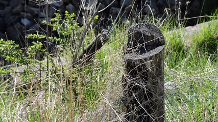 Old wooden fence with barbed wire beaten by the harsh winter wind