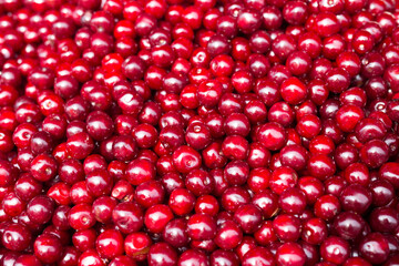 red berries cherry texture background