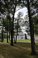 Fototapeta na wymiar View of the city park, church, big trees and vacationers. Summer day panorama.