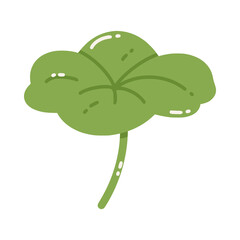 Vector illustration of a green leaf with streaks. Cute water lily isolated on white background