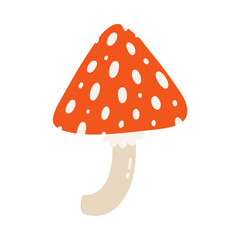 Red-spotted fly agaric or amanita. Beautiful mushroom with inedible dotted cape. Hand-drawn colored flat vector illustration isolated on white background