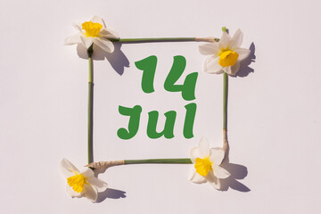 July 14th. Day 14 of the month, calendar date. Frame from flowers of a narcissus on a light background, pattern. View from above. Summer month, day of the year concept