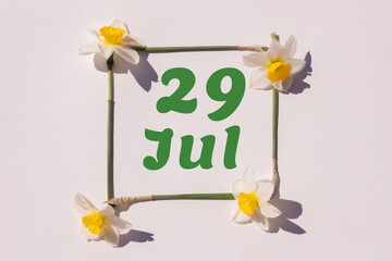 July 29th. Day 29 of the month, calendar date. Frame from flowers of a narcissus on a light background, pattern. View from above. Summer month, day of the year concept