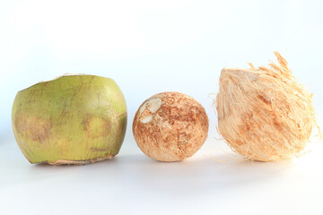 Fresh young coconuts on a white background.