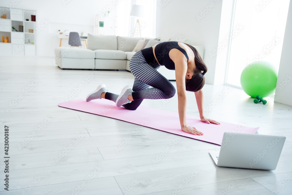 Sticker Full body profile side photo of young attractive woman make exercises dynamic fit press laptop online indoors