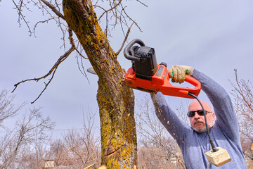 Middle-aged man sawing an old fruit tree in the garden with an electric chain saw