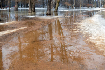 Trees are reflected in melt water in a empty city park