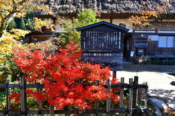 世界遺産白川郷合掌造り集落