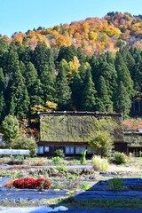 世界遺産白川郷合掌造り集落