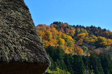 世界遺産白川郷合掌造り集落