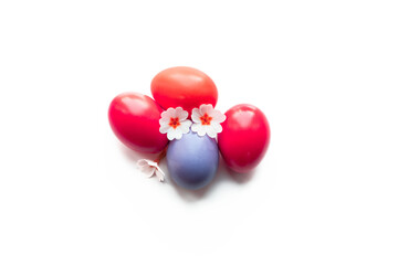 Easter coloured eggs with natural flowers isolated on white background. Four colourful eggs: red and purple.