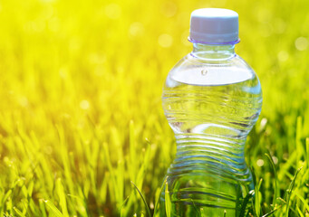 A bottle of crystal clear water in green grass