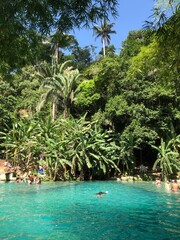Obraz premium beach with palm trees