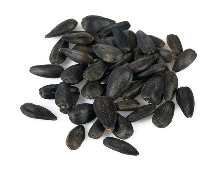 a pile of sunflower seeds isolated on white background