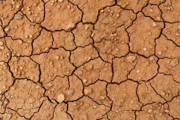 Clay sandy earth cracked