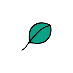 Green leaf from a tree. Summer. Plant. Vector hand-drawn doodle illustration.	