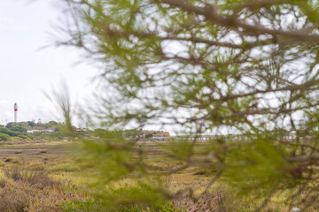 Faro o Lighthouse en el Paraje Natural Marismas del Río Piedras y Flecha del Rompido, municipio de Cartaya, provincia de Huelva, comunidad autonoma de Andalucia, pais de España