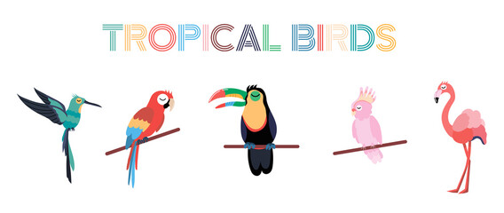 Tropical birds set including Ara Parrot, Pink Cockatoo, Flamingo, Toucan, Hummingbird. Exotic birds collection on white background. Flat vector illustration.