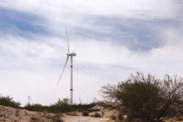 Wind turbines in the desert