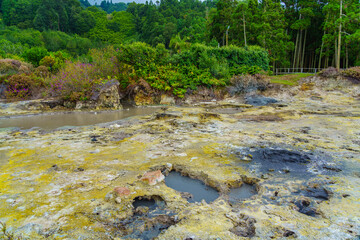 Hotsprings Of The Lake Furnas. Sao Miguel, Azores. Lagoa das Furnas Hotsprings.