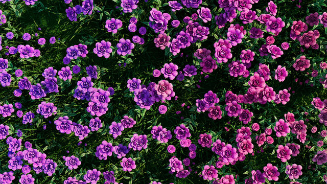 Multicolored Flower Background. Floral Wallpaper with Pink and Purple Roses. 3D Render