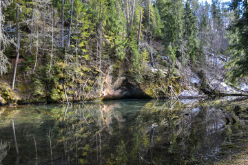 sandstone cliffs on the bank of a forest river with a perfect reflection in the water and green conifers on the bank.