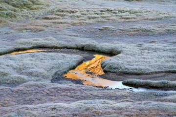 Frosted high mountain landscape with a stream