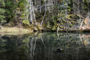 sandstone cliffs on the bank of a forest river with a perfect reflection in the water and green conifers on the bank.