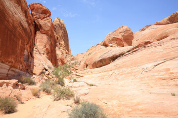 Fototapeta premium Valley of Fire State Park in Nevada, USA