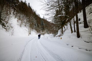 Winter landscape in Zarnesti Gorges (The Precipice of Zarnesti), Romanian Carpathians