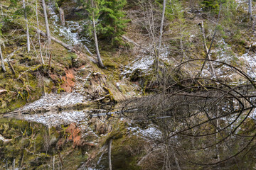 sandstone cliffs on the bank of a forest river with a perfect reflection in the water and green conifers on the bank.