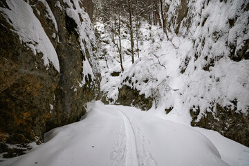 Winter landscape in Zarnesti Gorges (The Precipice of Zarnesti), Romanian Carpathians